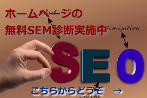 ＳＥＯ診断